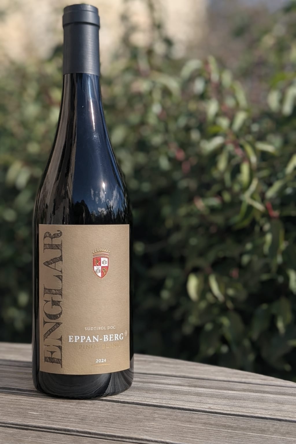 Südtirol Pinot Blanc Berg from Schloss Englar