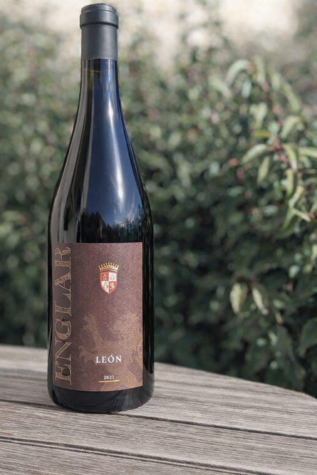 Südtirol Vernatsch from Schloss Englar